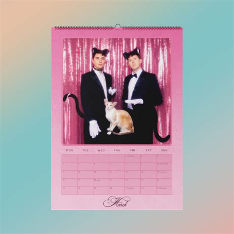 Dan and Phil AND CATS! .